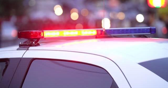 Greene County woman charged with violent Albemarle County carjacking - Vimarsana News