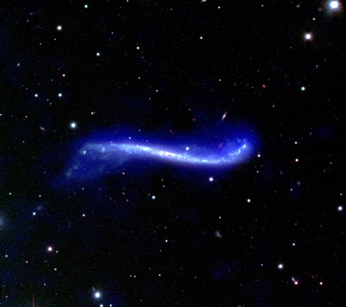 Warped Disk of Galaxy UGC 3697