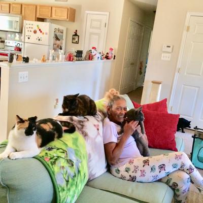 13 Lucky Cats and Maria Robinson-Haynes