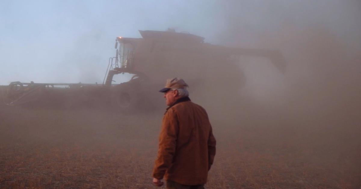 Protein-maxxing, GLP-1s have US farmers betting on peas and lentils