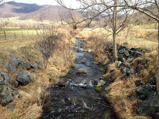 Grants will improve shorelines, trout habitat