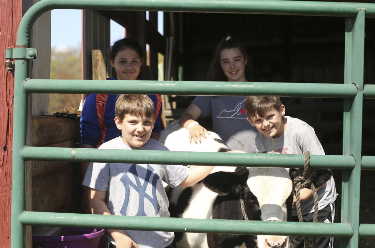 Special Day On The Farm Greene County Record Dailyprogress Com