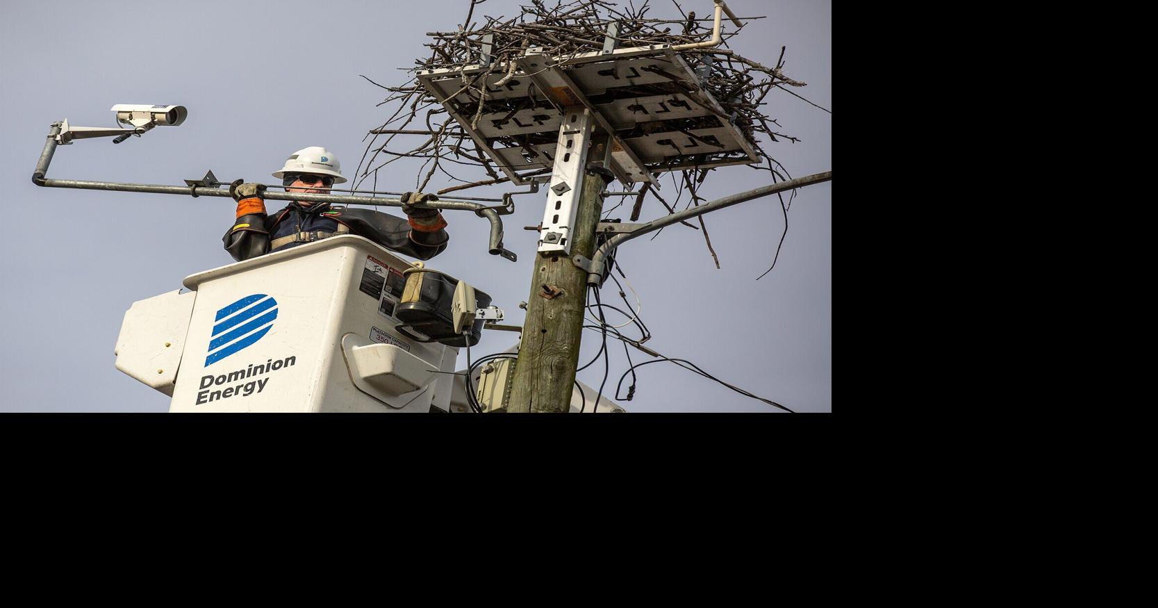 Alert Top Story WILDLIFE New camera gives bird's-eye view to ospreys around Colonial Beach CATHY DYSON The Free Lance-Star Dec 26, 2025 6 hrs ago