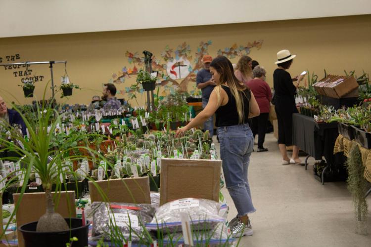 Cacti and Succulents Society unites plant lovers in Orange County |  Lifestyle | dailytitan.com