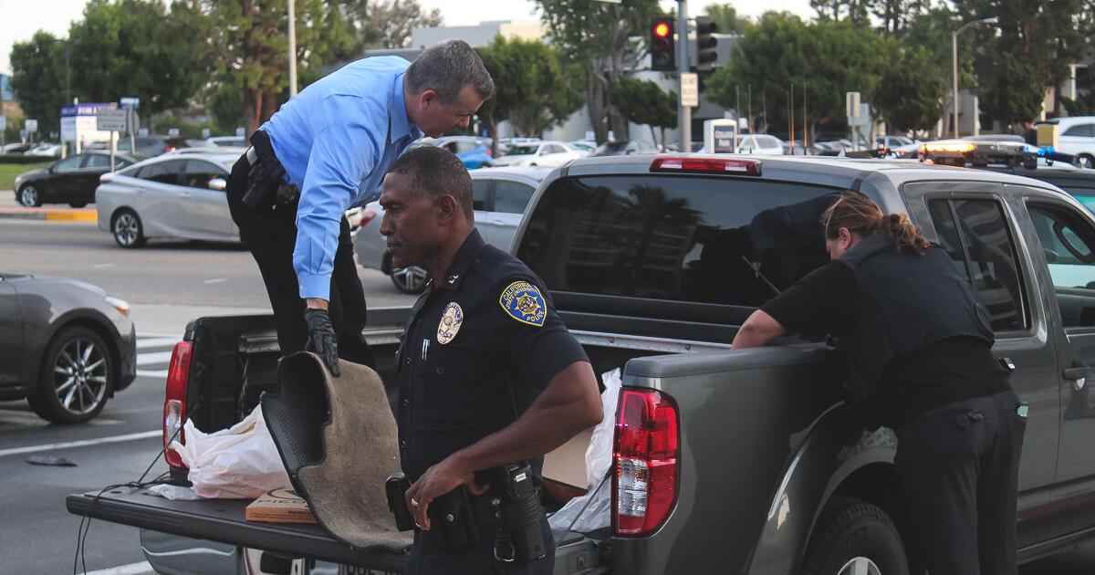 Student arrested for having a loaded gun on campus released on bail ...