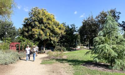Arboretum photo