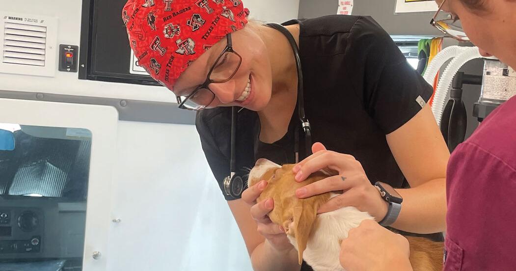 CARES aids Amarillo animals, community | La Vida | dailytoreador.com