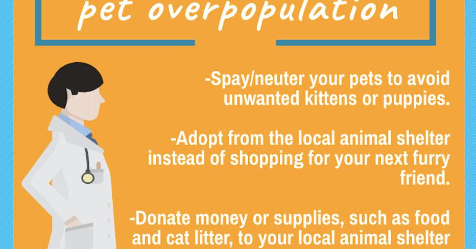 Domestic animal overpopulation poses issues for community | News |  