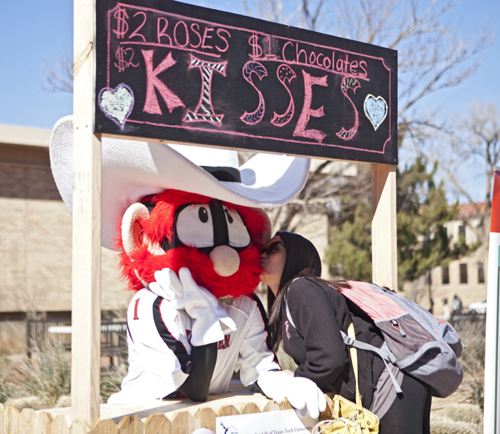 Photo of the Month: February 2013
