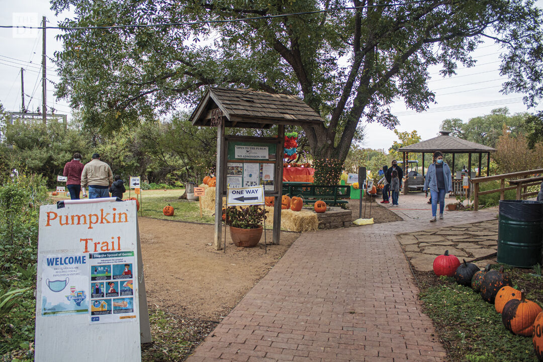 Pumpkin Trail