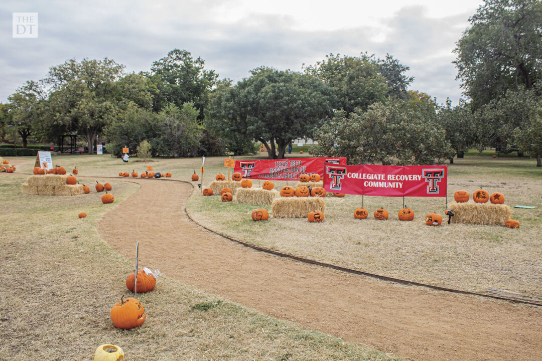 Pumpkin Trail