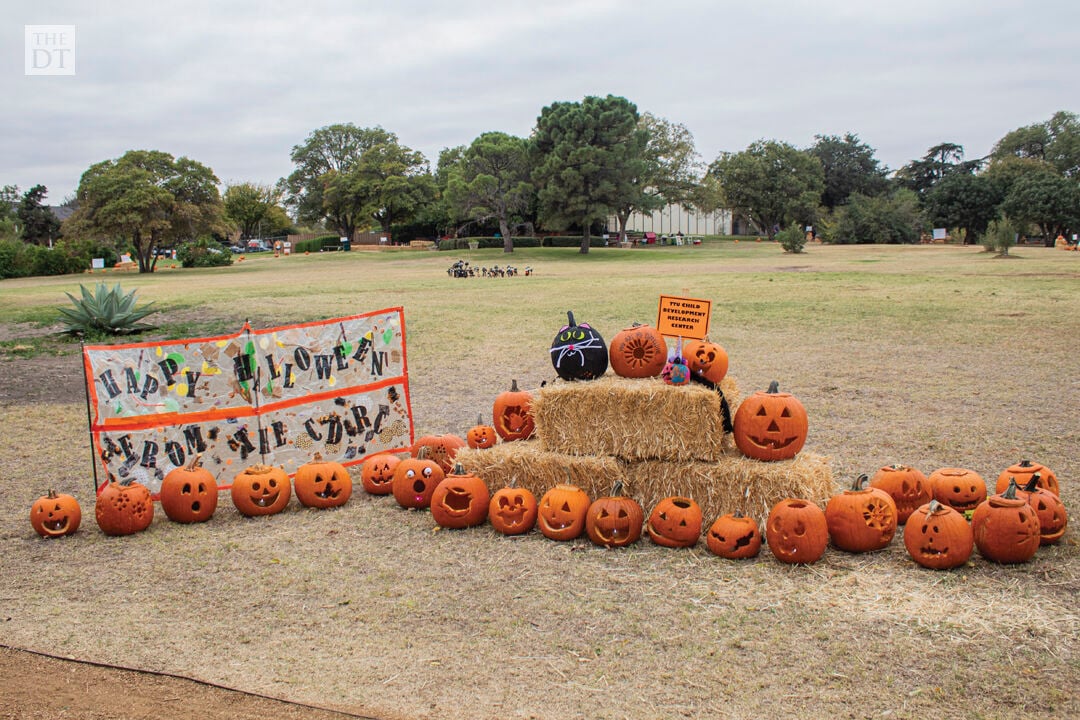Pumpkin Trail