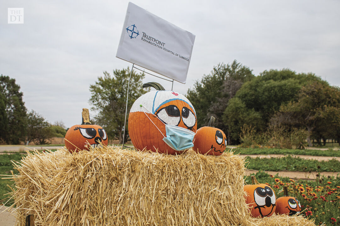 Pumpkin Trail