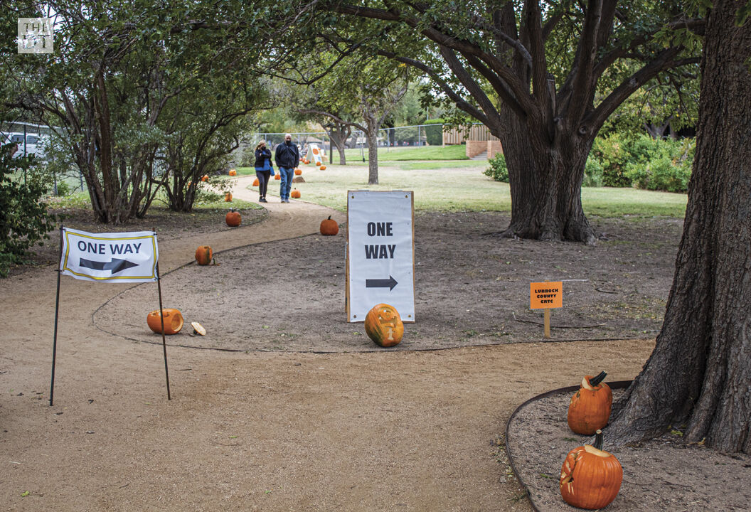 Pumpkin Trail