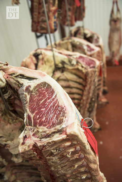 Texas Tech Meat Judging Team