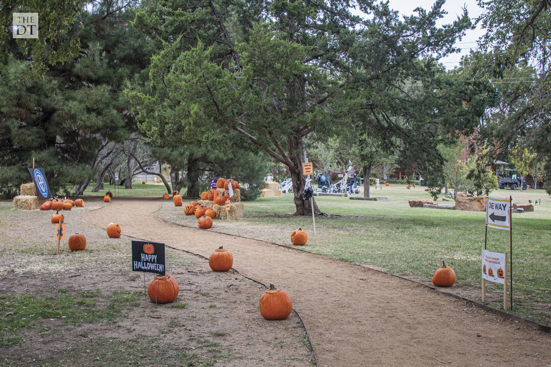 Lubbock Parks and Recreation's Annual Pumpkin Trail Gallery