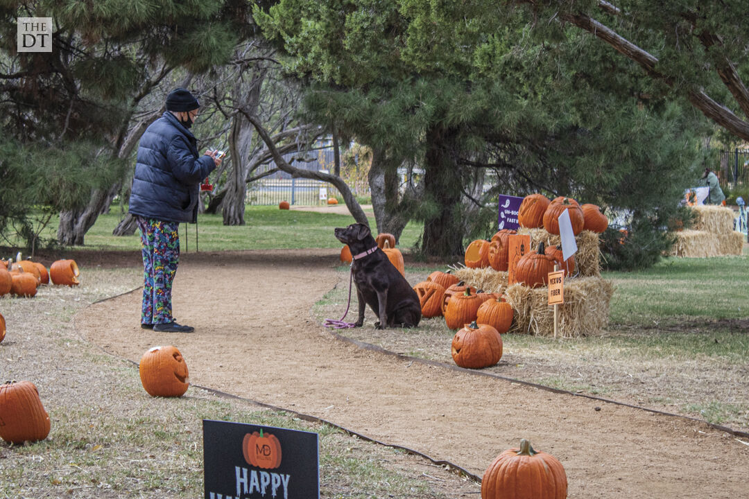 Pumpkin Trail