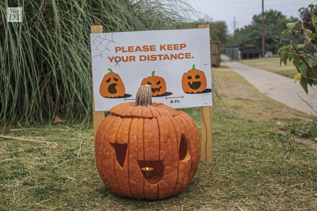 Pumpkin Trail