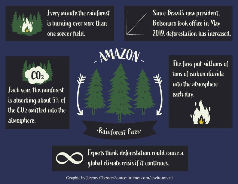 Amazon Rainforest Fire Impacts Local Environment News Dailytoreador Com