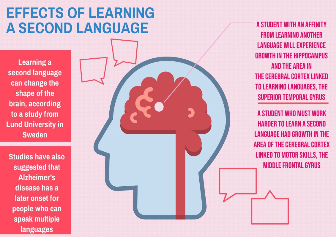 Language Learning Affects Cognitive Functions, Education | News ...