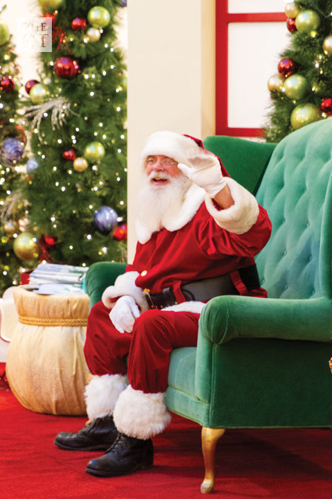 Santa Paws