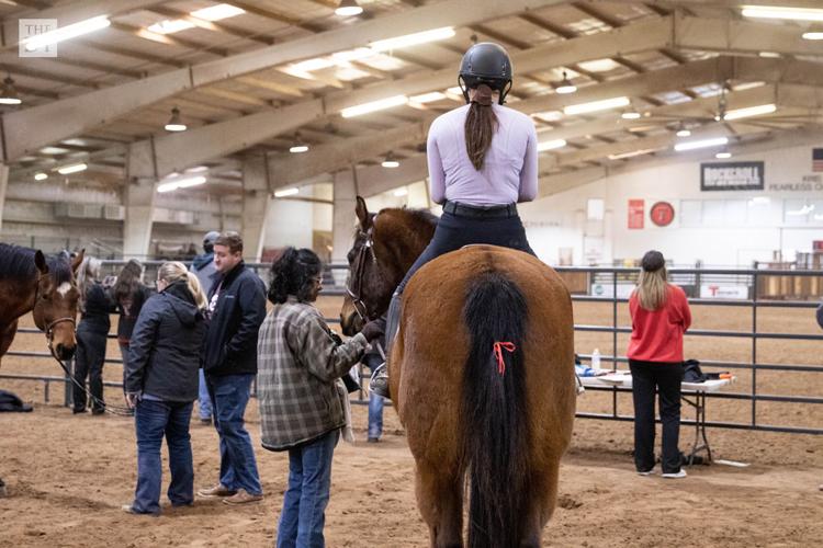Texas Tech Equestrian Team Regionals Multimedia