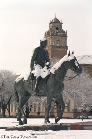 Will in the Snow