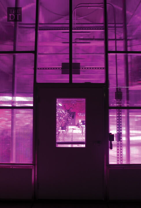 Greenhouse colors