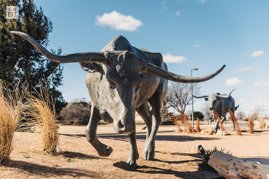 Bronze Steer