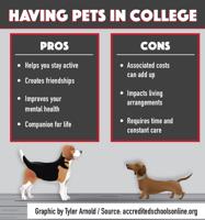 Students discuss pros, cons of pet ownership in college