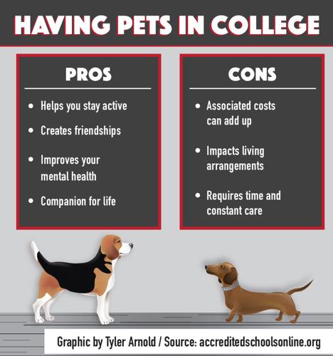Benefits of owing a pet