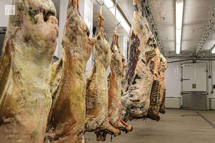 Texas Tech hosts Texas FFA High School Meat Judging Competition
