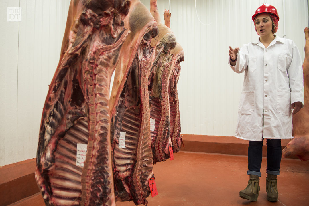 Texas Tech Meat Judging Team