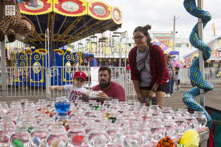 South Plains Fair Gallery