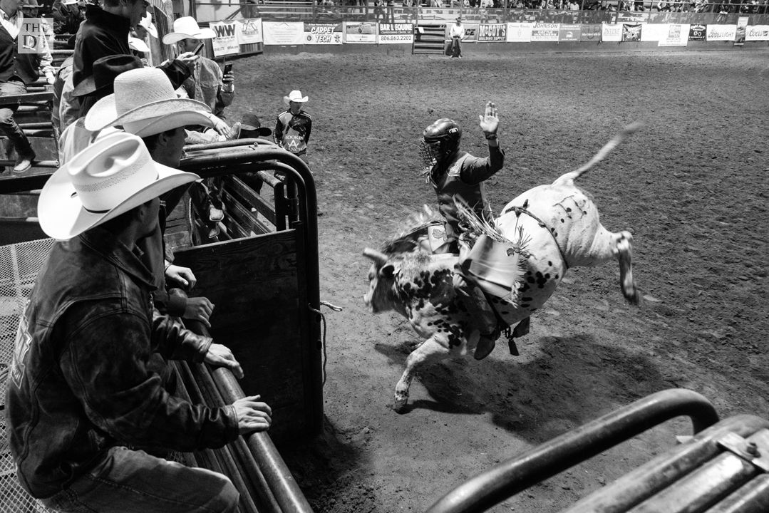 Texas Tech Rodeo