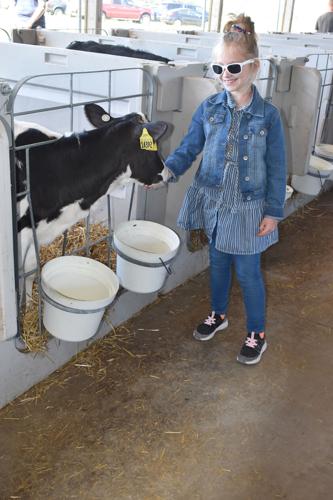 Breakfast on the farm