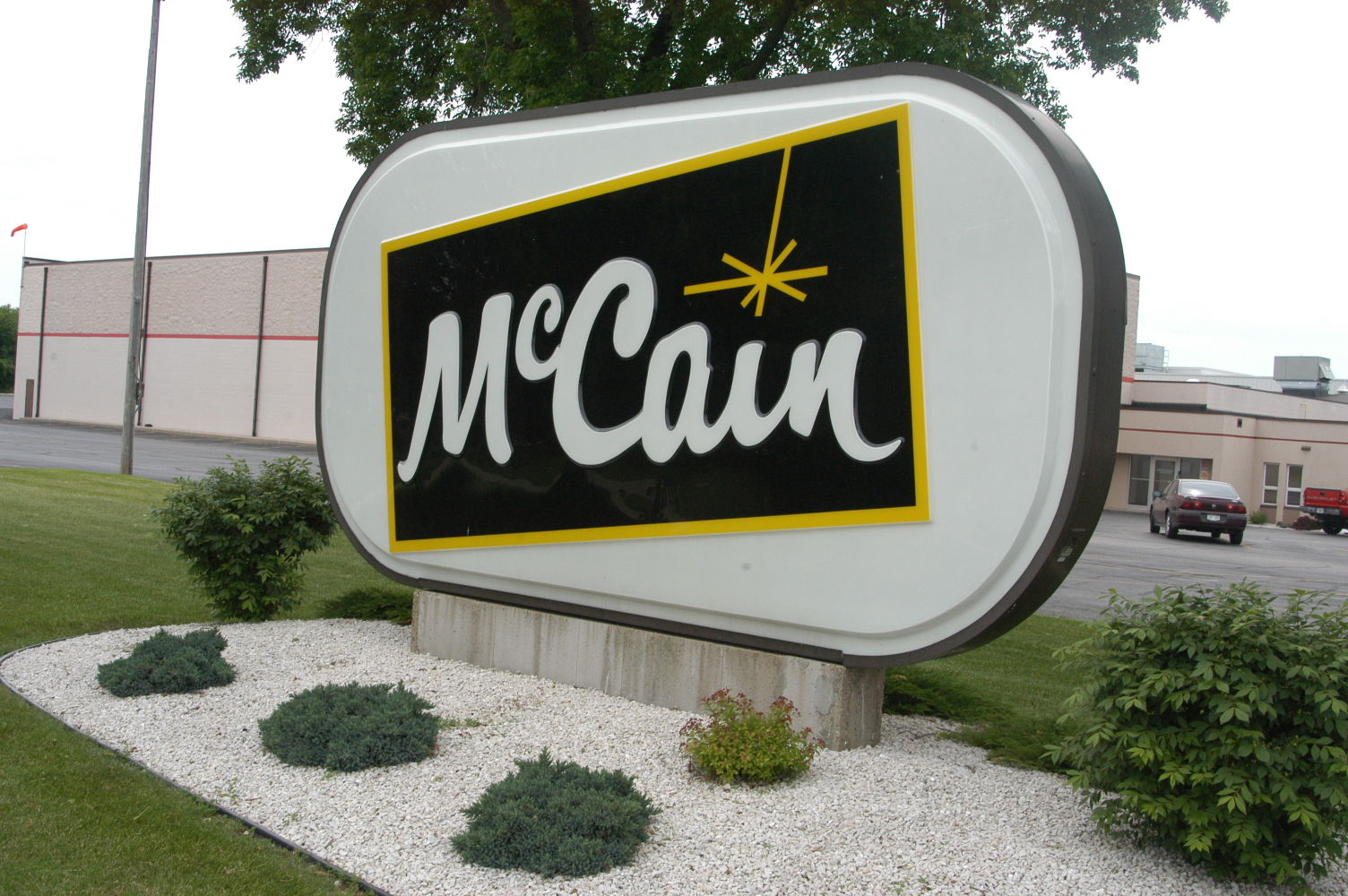 McCain Foods Logo, symbol, meaning, history, PNG, brand