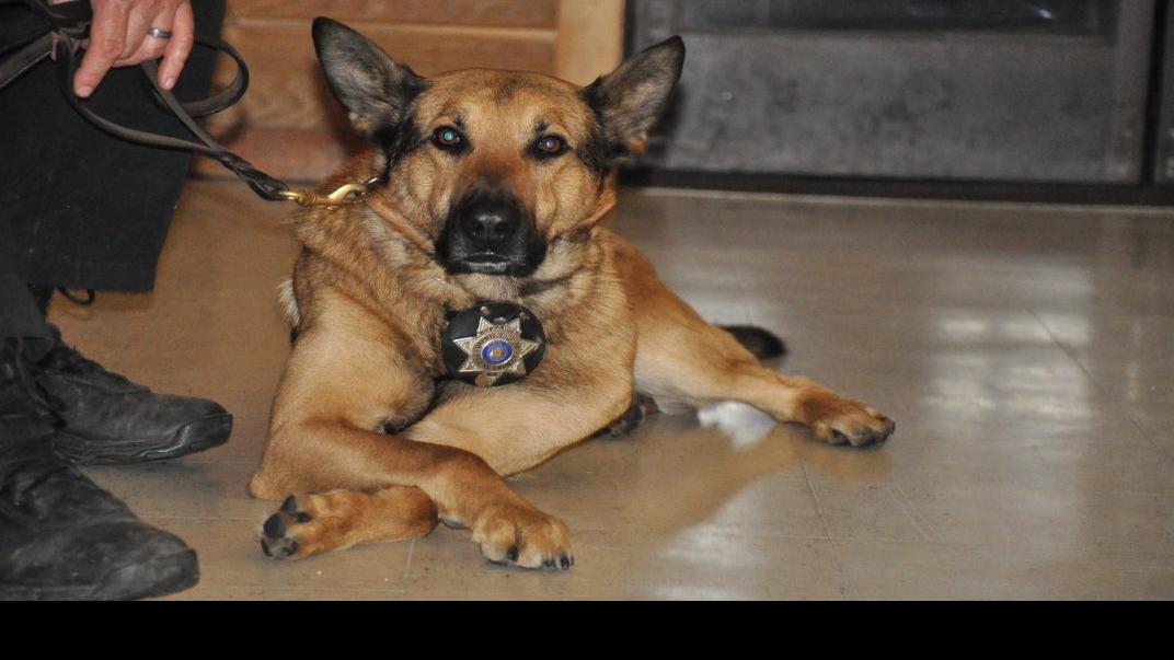 How To Test A Power Pack For Outboard Motor