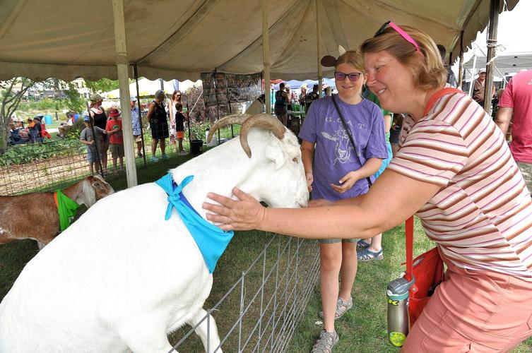 Goats, locals attend Goat Fest News