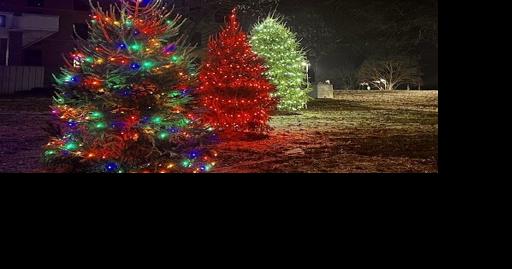 Love Lights Campaign ceremony showcases colorful trees at Fort Memorial Hospital - Vimarsana News