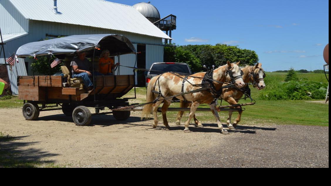 HORSES AND WAGONS Photo Galleries