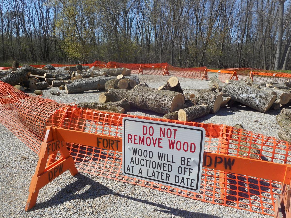Compost Site Trees Up For Bid News Dailyunion Com