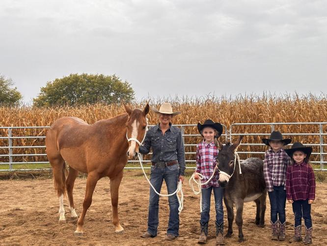 Sunset Sanctuary soft-launch: local woman to showcase equine therapy ...