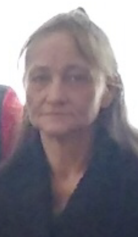 Laura J. Wahl