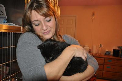 Rescue Cats Given Tender Loving Care Videos Photo Galleries Dailyunion Com