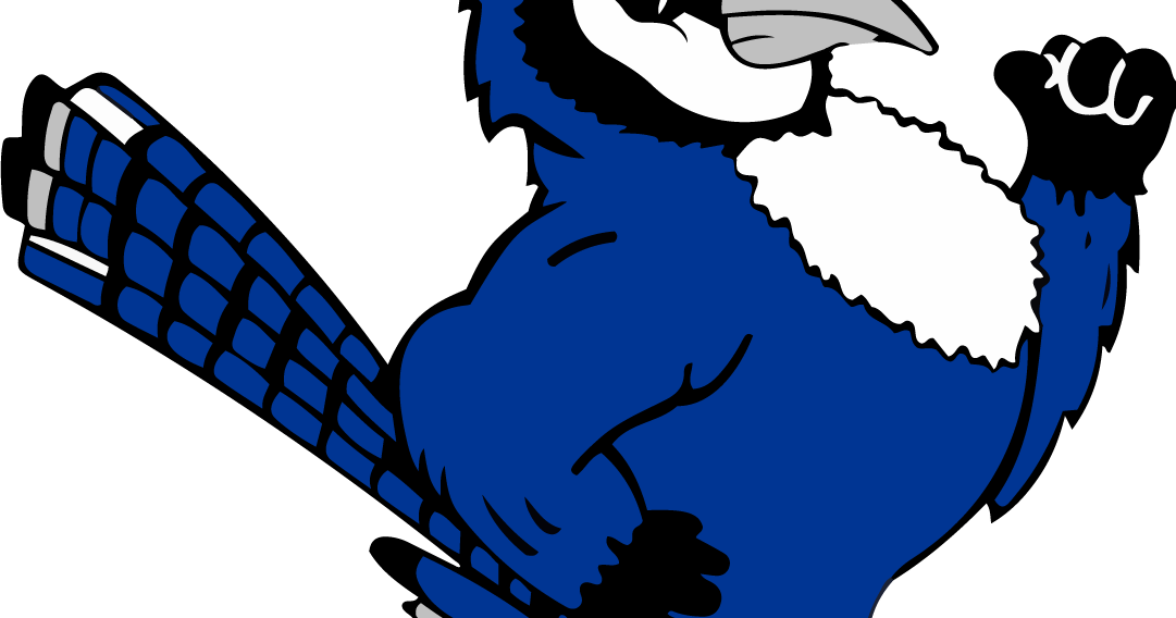 Volleyball: Cambridge rallies to fend off Belleville in 5-set match