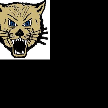 Football: Bohlman stars as L-Cats score in all 3 phases, earn long-awaited win over Columbus
