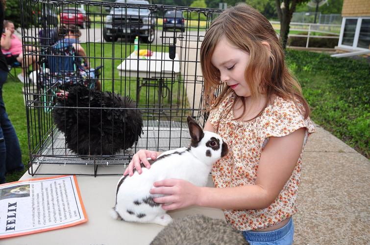 Jefferson County 4-H holds open house | News | dailyunion.com