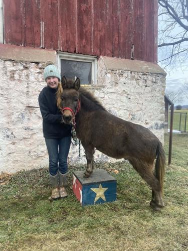 Two girls, a dog and a mule: FFA grant funds unusual therapy animal