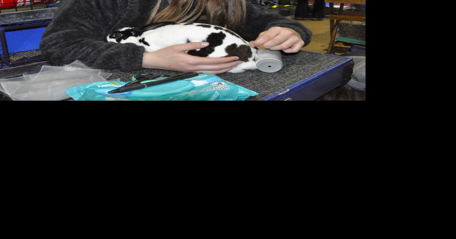 Badger Rabbit Show draws annual crowd to Fair Park | Local | dailyunion.com